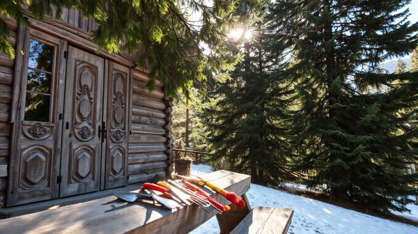 Les meilleures astuces pour l'entretien des espaces pro en Haute-Savoie